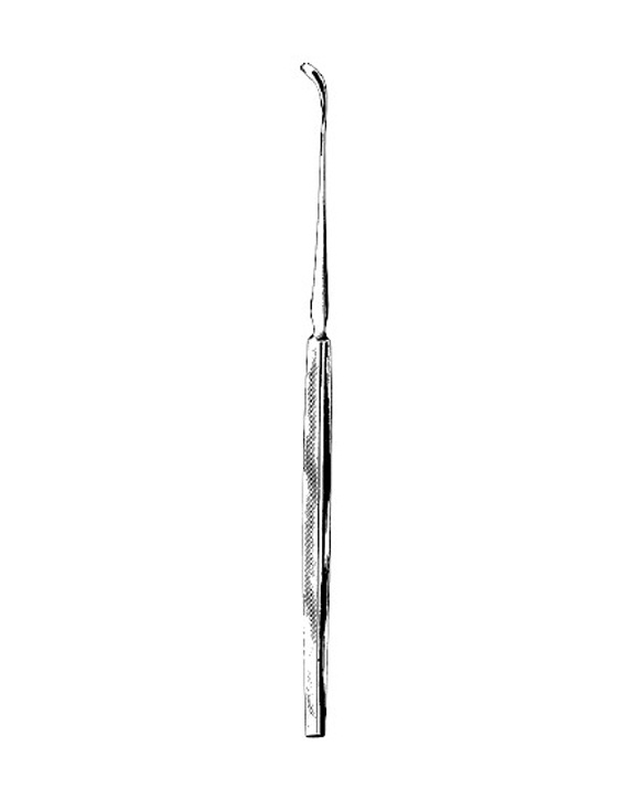<span>Zaufal</span>