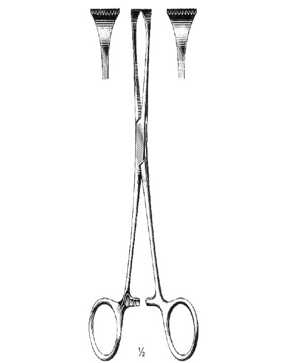 <span>Allis-Adair</span>