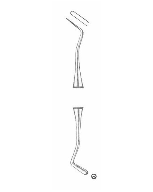 <span>Ash</span>