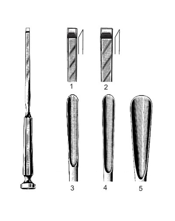 <span>Fischer</span>