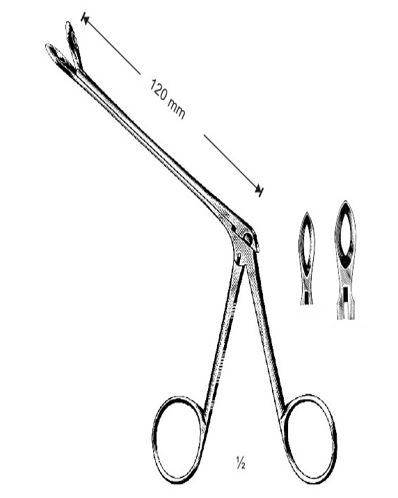 <span>Weil-Blakesley</span>