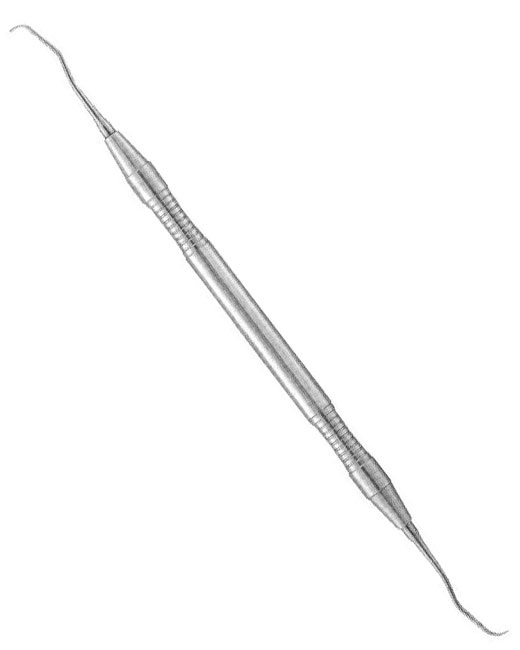 <span>Gracey </span>