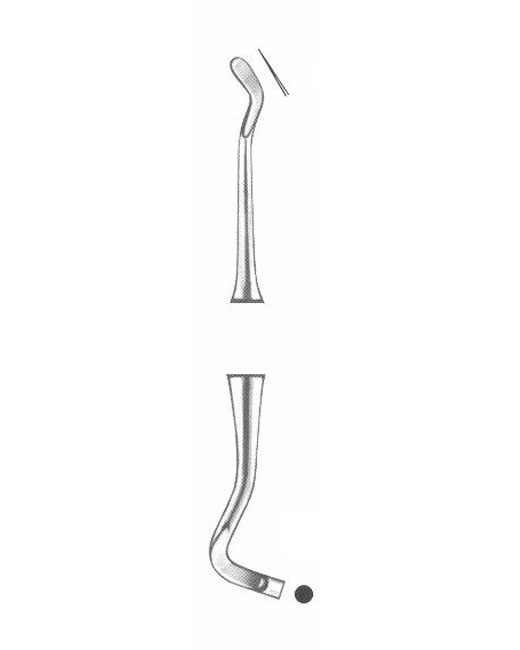 <span>Williams</span>