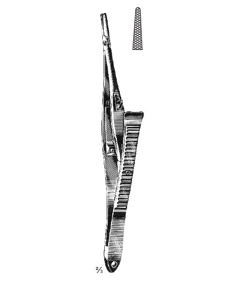 <span>Noyes</span>
