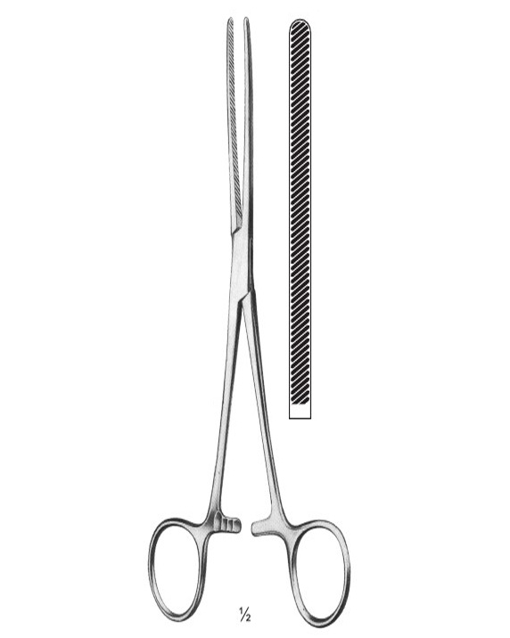 <span>Baby-Doyen</span>