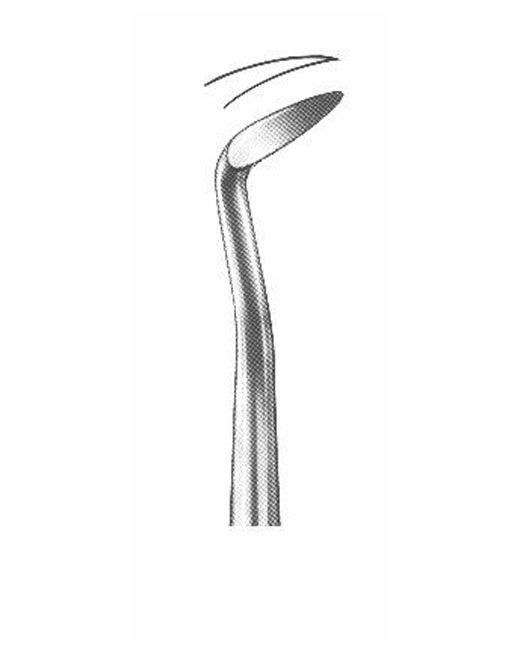 <span>Barry</span>