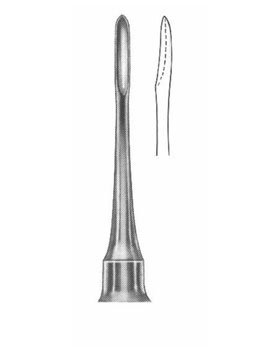 <span>Bein  </span>
