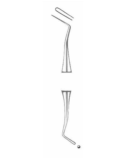 <span>Ash</span>