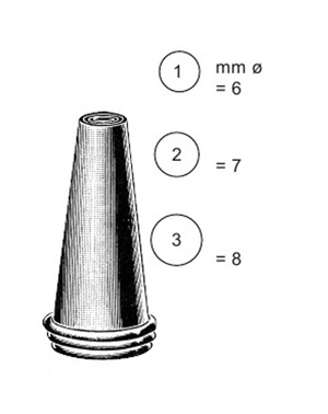 <span>Troeltsch</span>