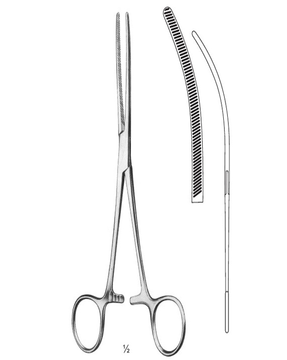 <span>Baby-Doyen</span>