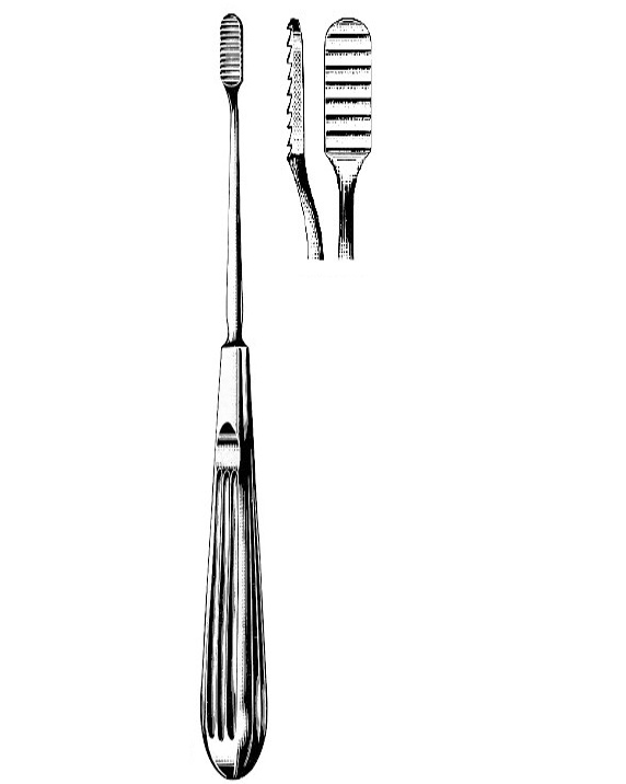 <span>Lewis</span>