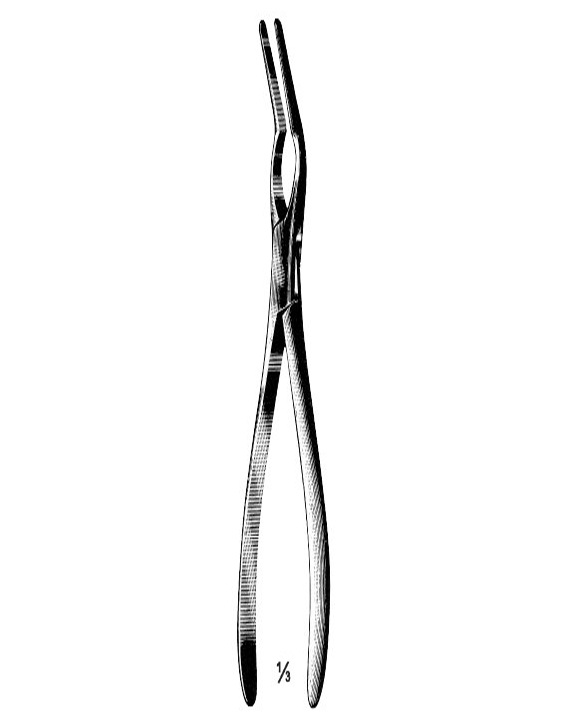 <span>Asch</span>