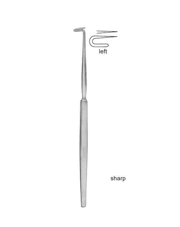 <span>Bose</span>