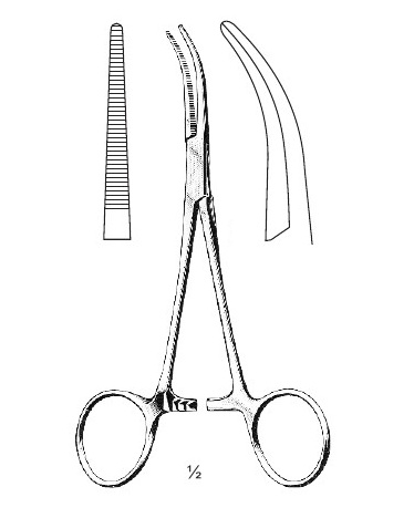 <span>Dandy</span>