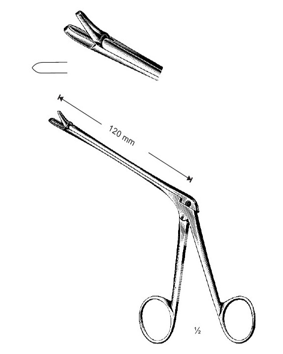 <span>Hajek</span>