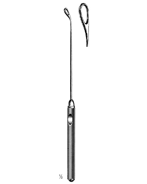 <span>Coakley</span>