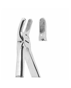 <span>Upper Molars</span>