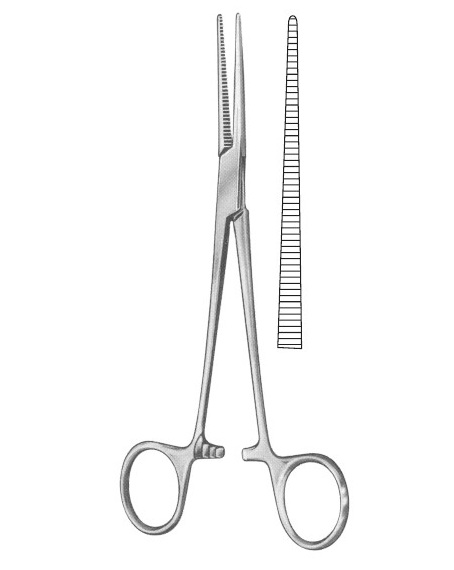 <span>Olivecorona(Crafoord)</span>