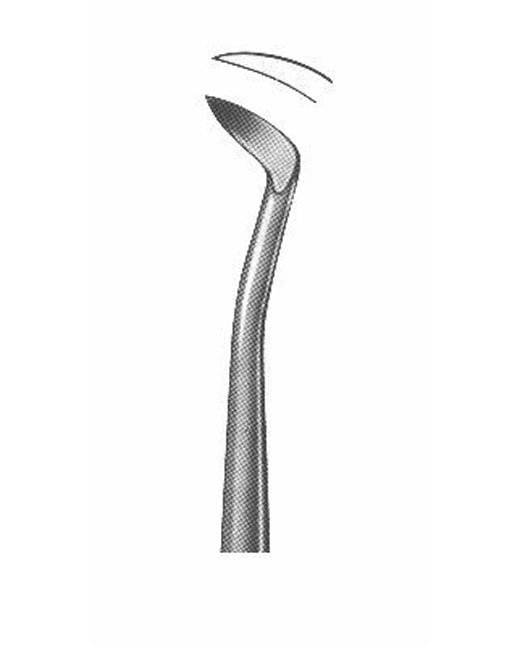 <span>Barry </span>