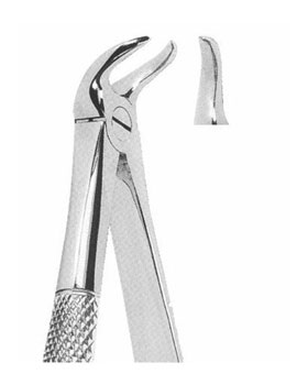 <span>Lower decayed Molars Or Broken Down Crowns </span>