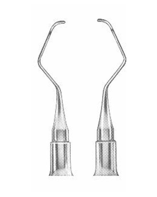 <span>Gracey </span>