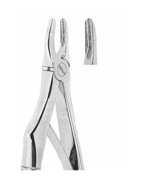 <span>Upper Incisors</span>