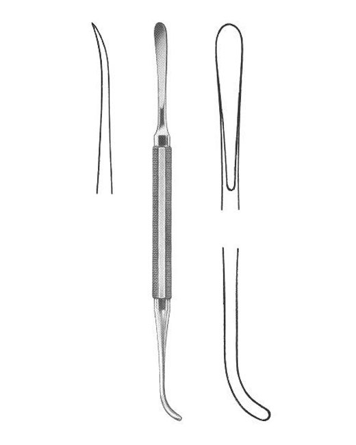 <span>Bennet</span>