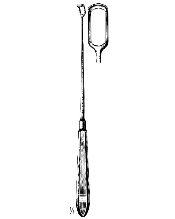 <span>Vogel</span>