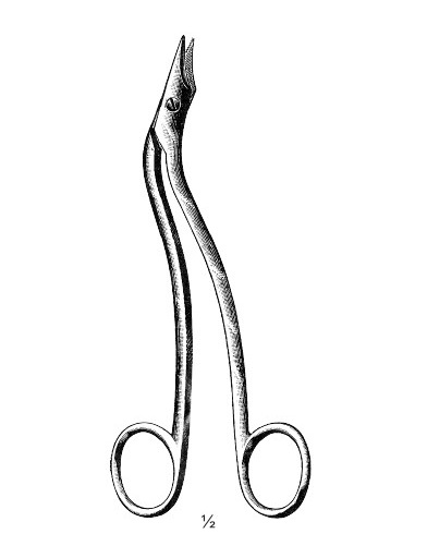 <span>Heath</span>