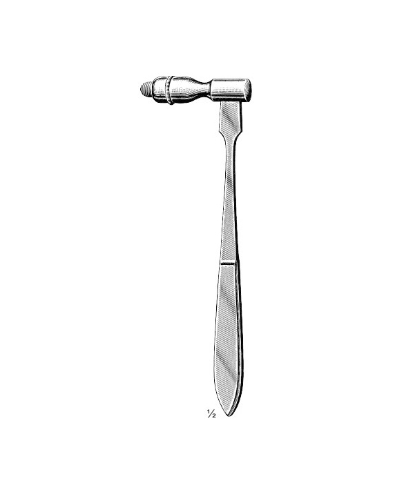 <span>Traube</span>
