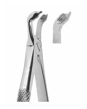 <span>Lower Third Molars</span>