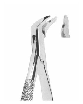 <span>Lower Third Molars</span>