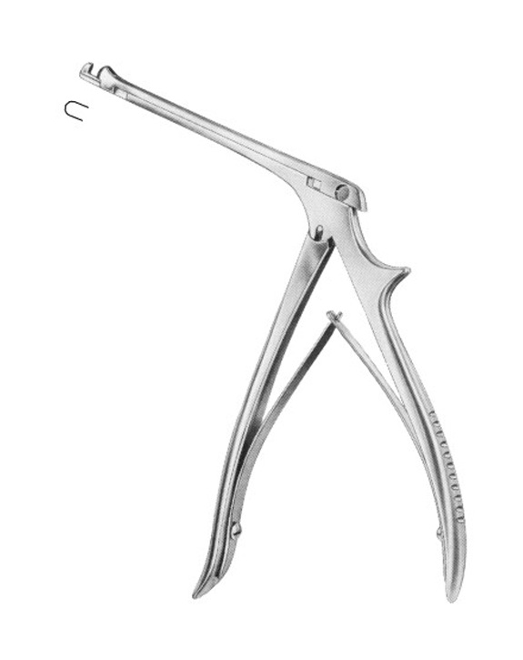 <span>Beyer</span>