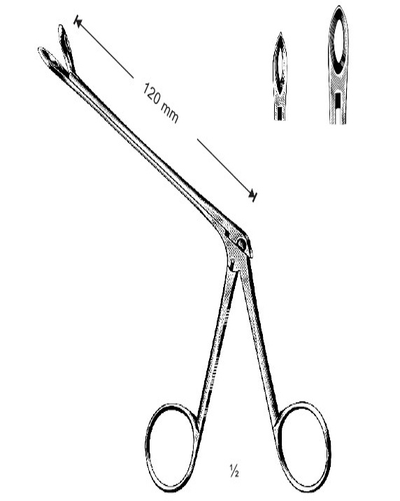 <span>Weil-Blakesley</span>