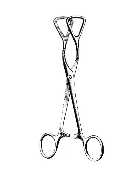 <span>Guy</span>