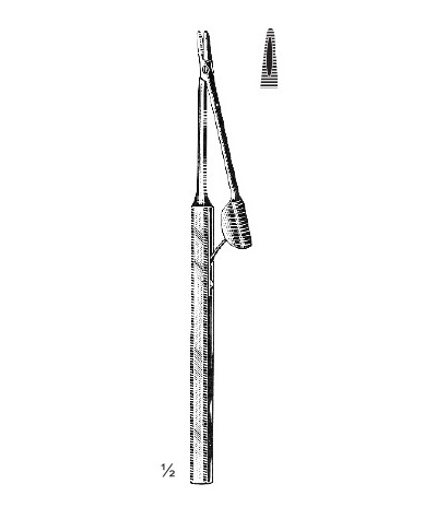 <span>Berens</span>