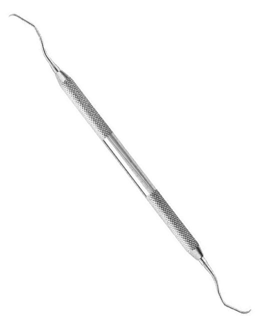 <span>Gracey   </span>