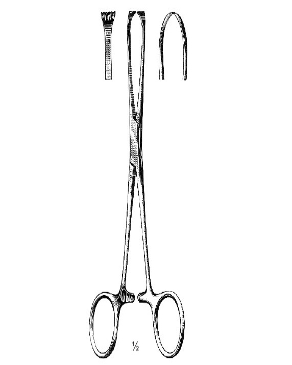 <span>Boys-Allis</span>