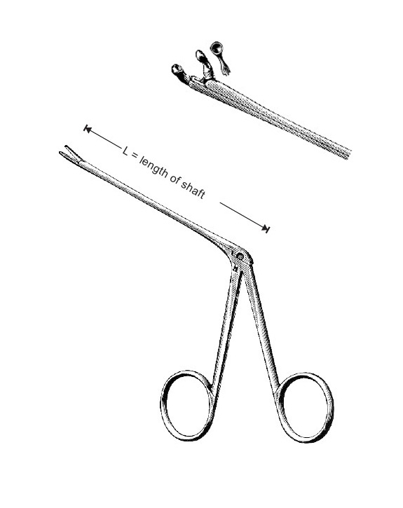 <span>Hartmann</span>
