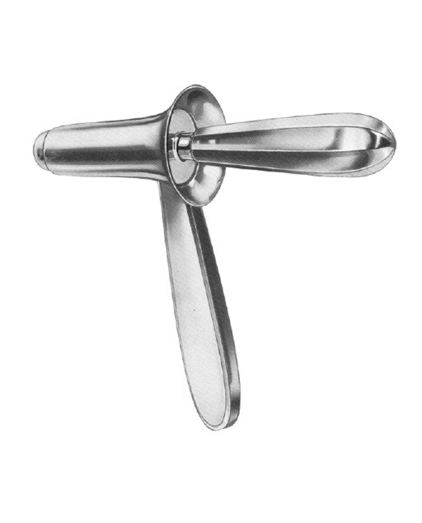 <span>Kelly</span>