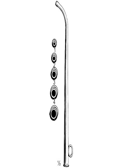 <span>Itard</span>