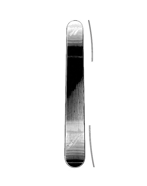 <span>Mayo</span>