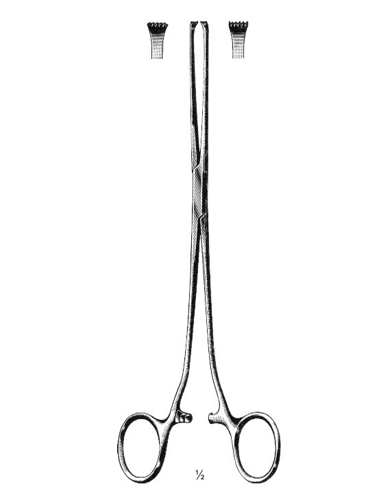 <span>Allis</span>