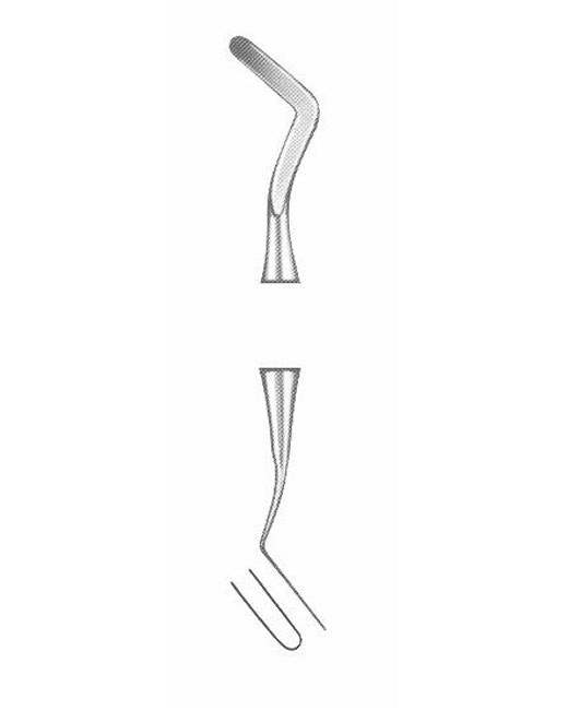 <span>Heidermann</span>