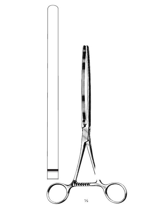 <span>Scudder</span>