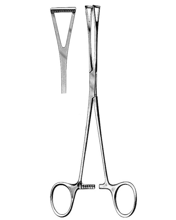 <span>Duval</span>
