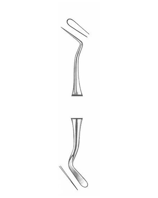 <span>Williams</span>