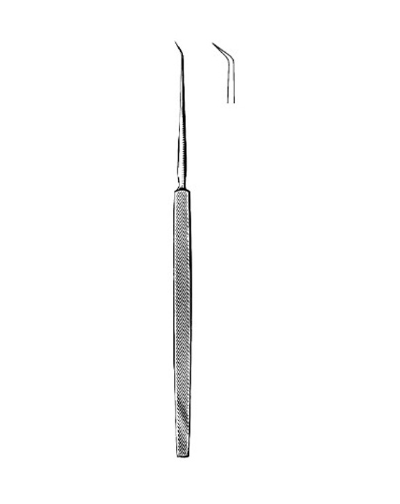 <span>Shambaugh</span>