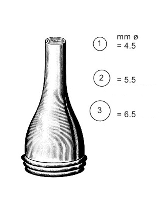 <span>Erhardt</span>