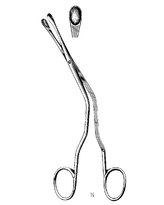 <span>Luc</span>